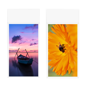 Double Side Hanging Window Facing LCD Display